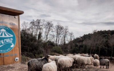 La Picada 1×06: Descobrim el projecte de la granja Circus